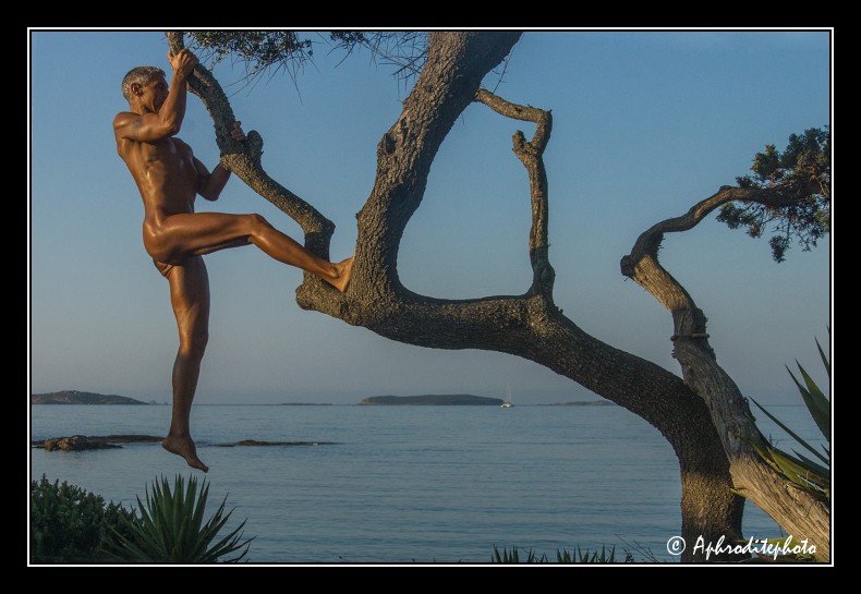 028 Gymnastique sur l'arbre 1